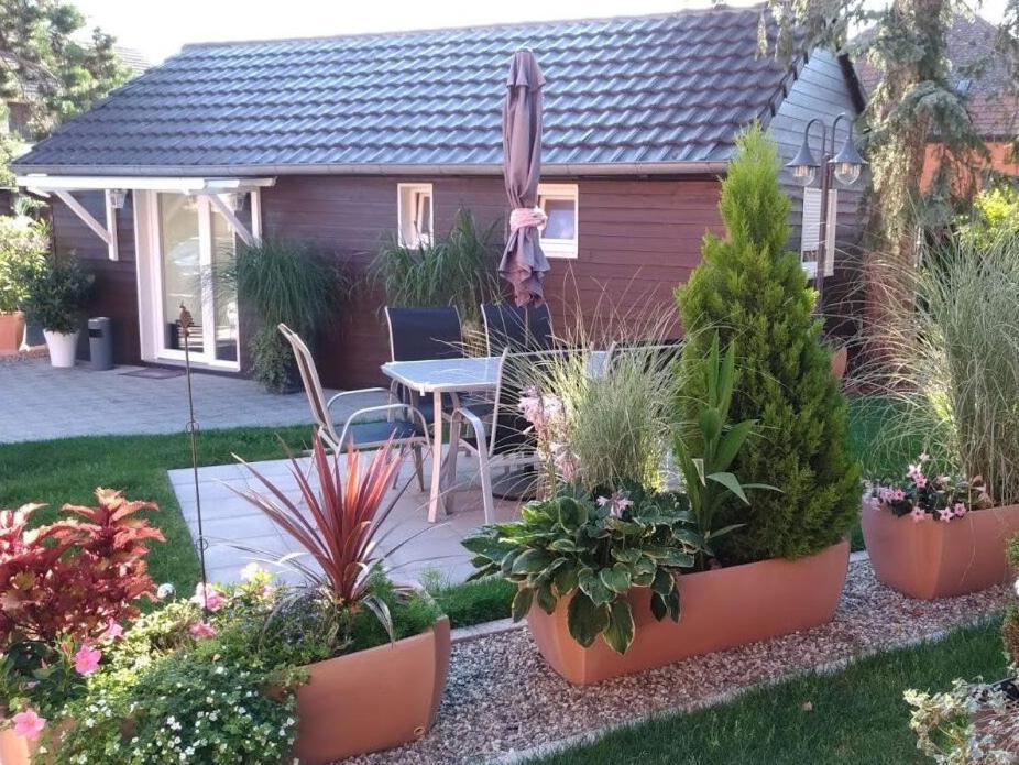 Gites Le P'Tit Paradis Du Ried Sundhouse Esterno foto